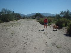 This is Corgett Wash looking east.